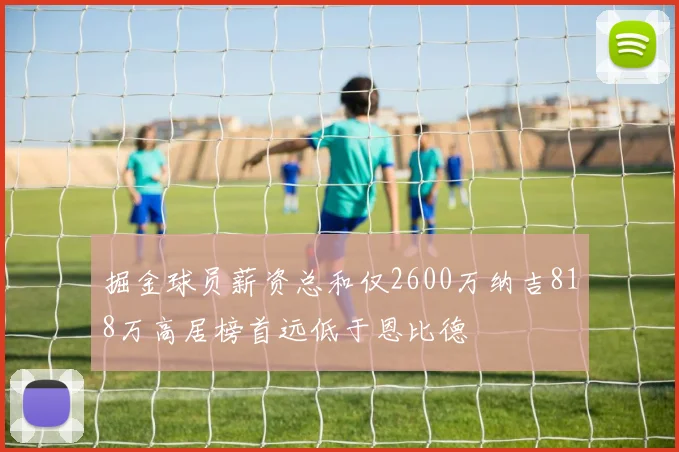 掘金球员薪资总和仅2600万纳吉818万高居榜首远低于恩比德