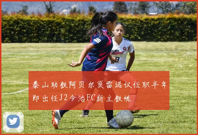 泰山助教阿贝尔莫雷诺仅任职半年即出任J2今治FC新主教练
