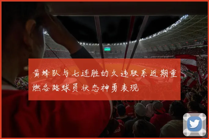 黄蜂队与七连胜的久违联系近期重燃各路球员状态神勇表现