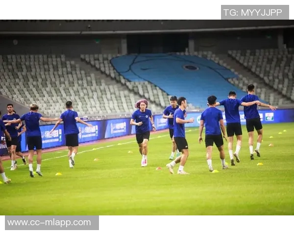 武汉三镇迎战深圳新鹏城赛前分析与展望精彩对决即将上演